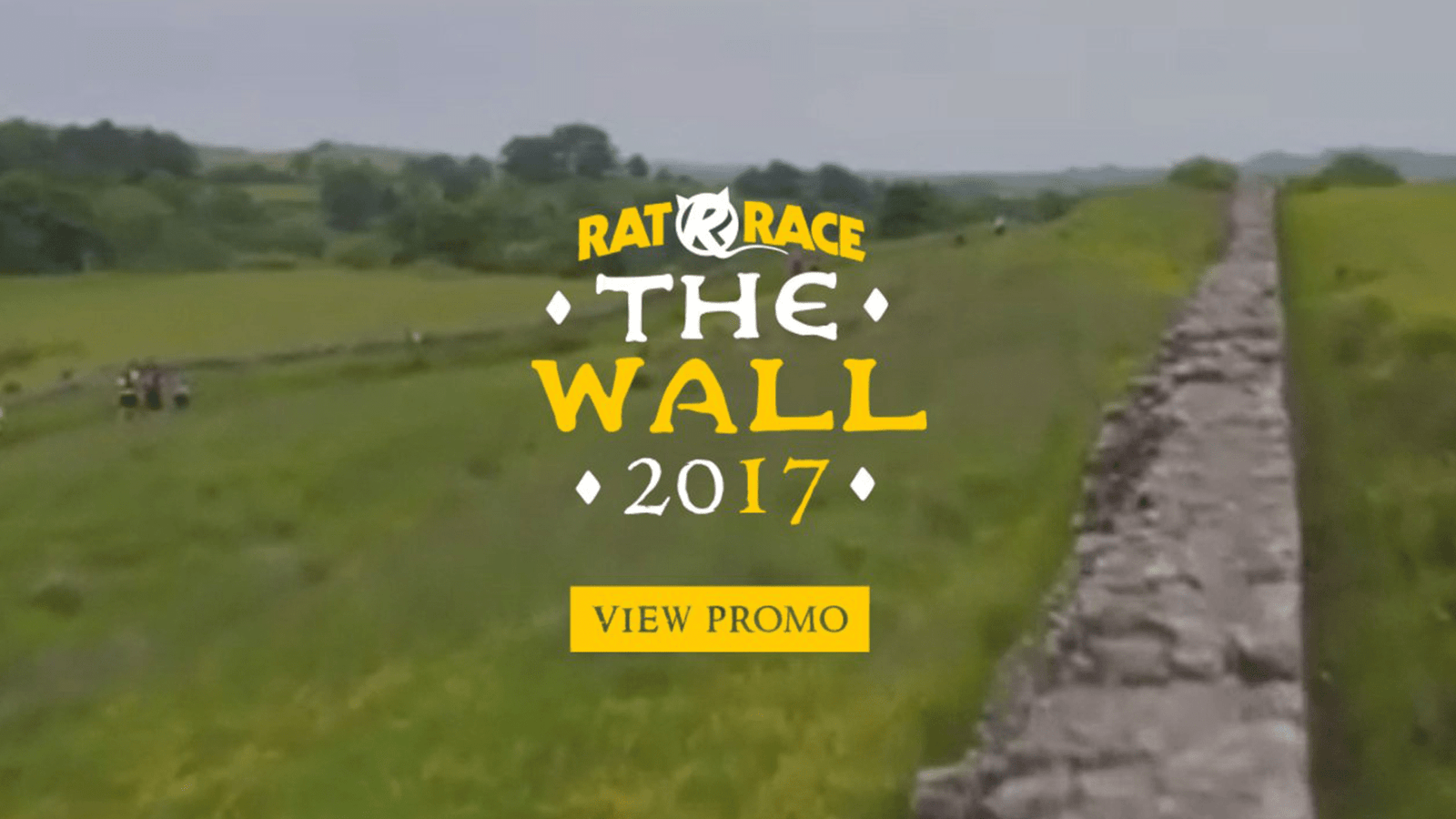 The Wall