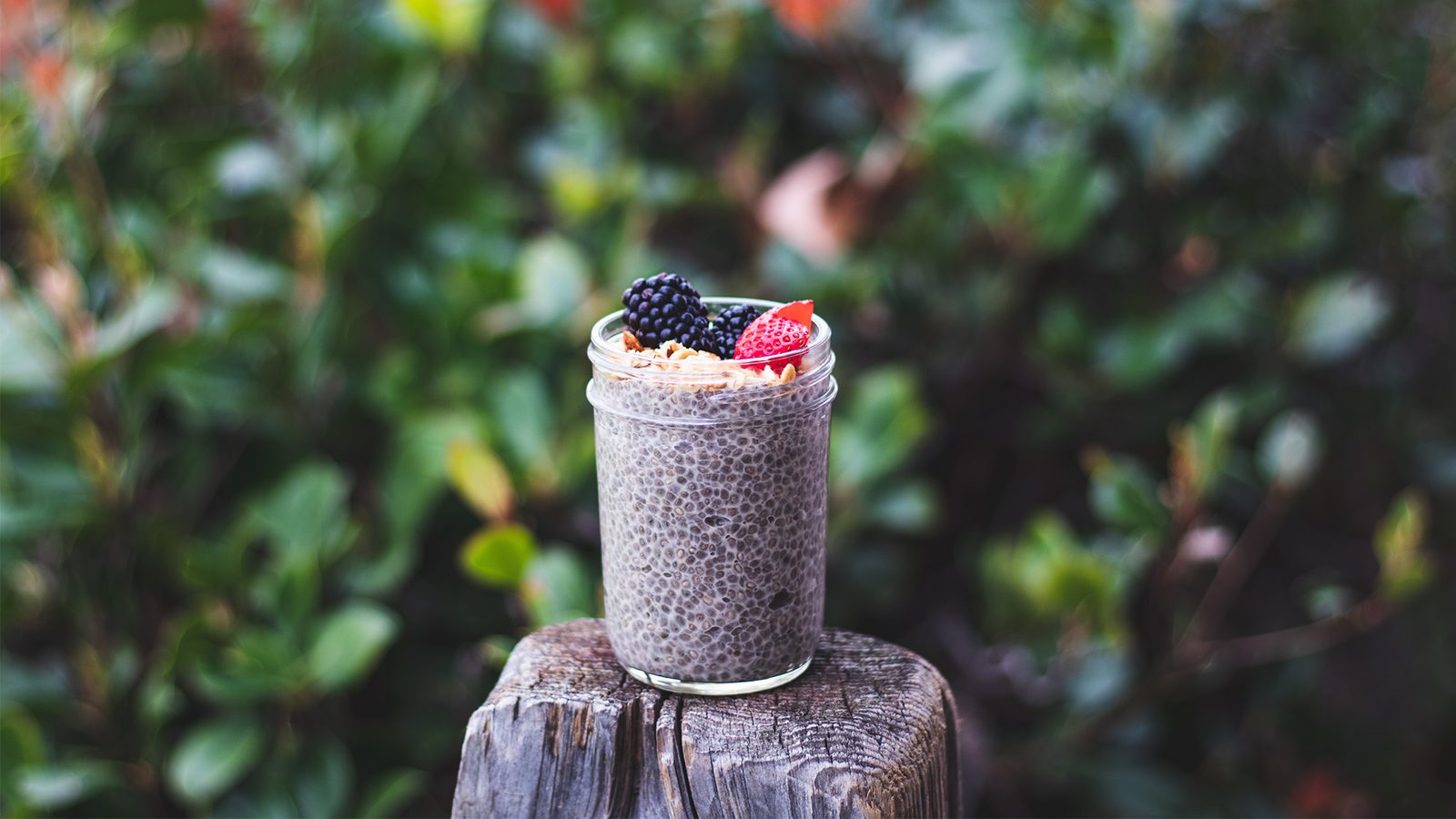 4 Exceedingly Simple Chia Pudding Recipes