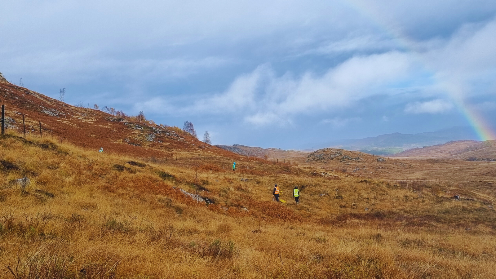 A Week of Rewilding with Trees for Life