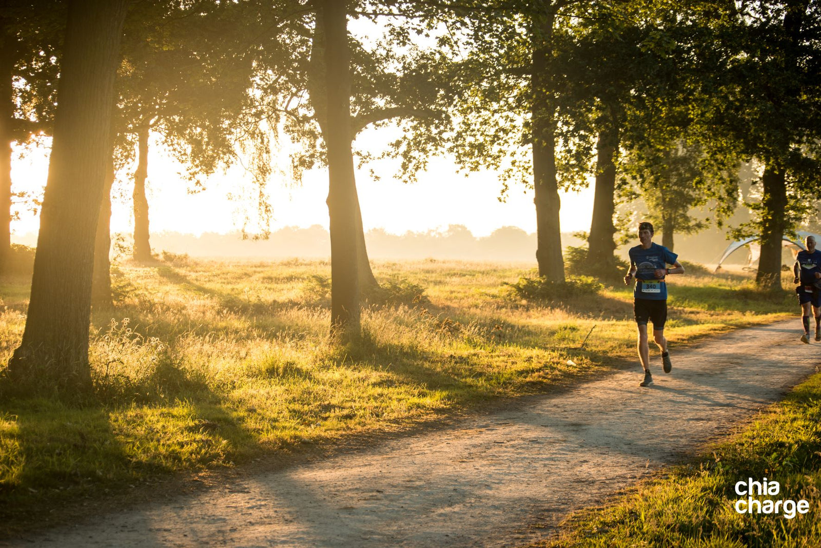 Why Vitamin D is Absolutely Essential for Ultra Runners