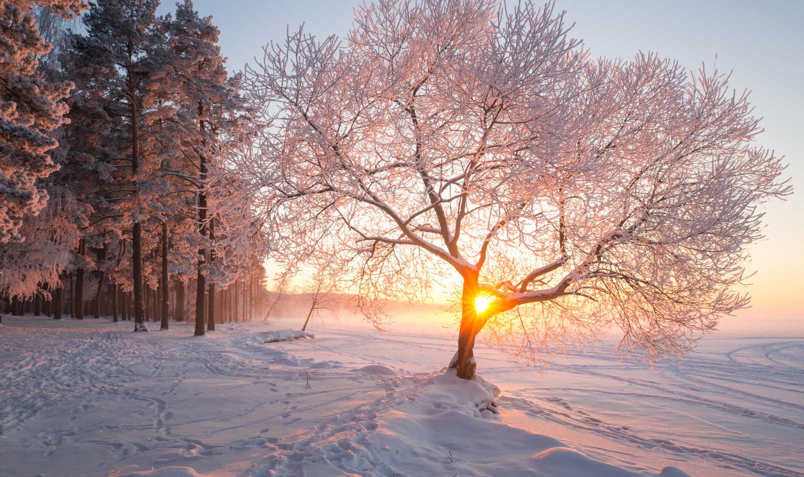 3 Great Reasons to Love running in the cold