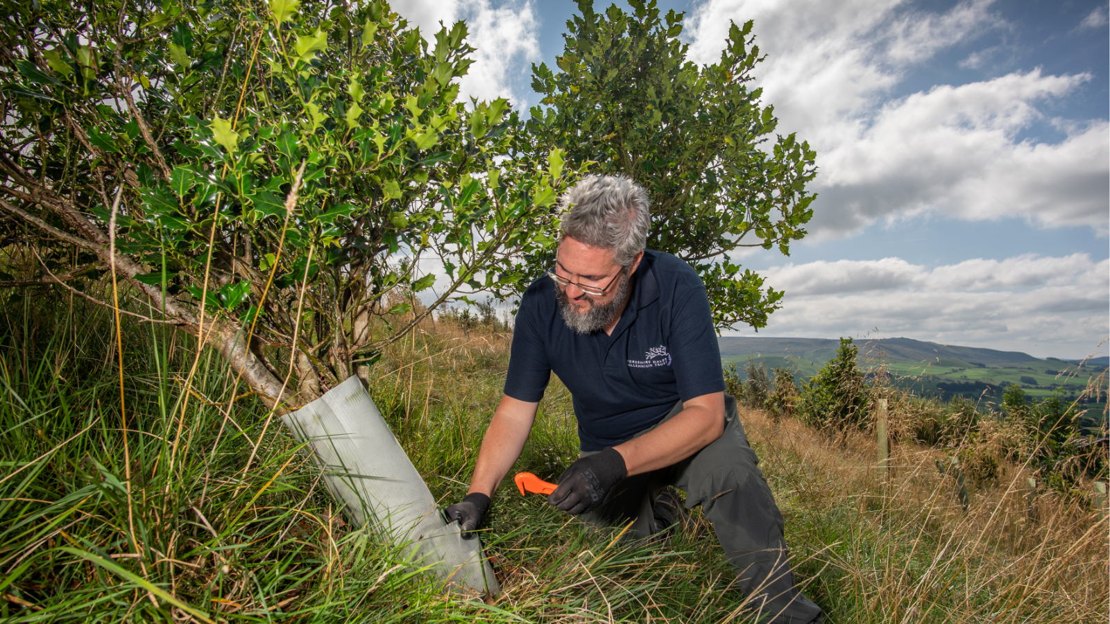Doing Our Bit for the Dales –  the Yorkshire Dales Millennium Trust 🌿