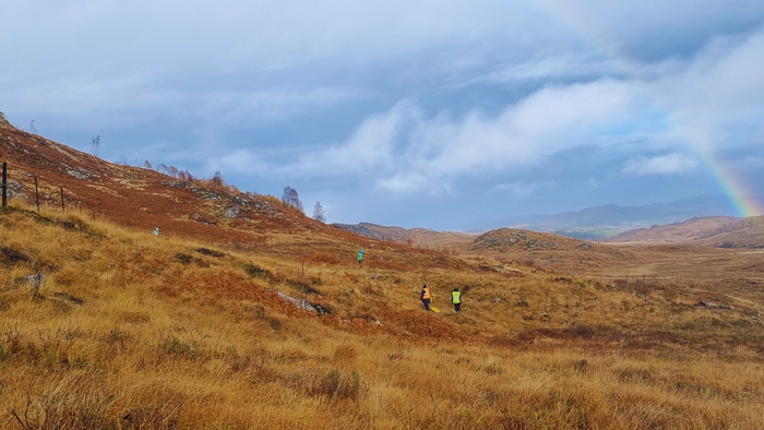 A Week of Rewilding with Trees for Life