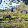 Edwina runs towards the camera along with two large dogs. She is running through a field with snow covered hills in the background.