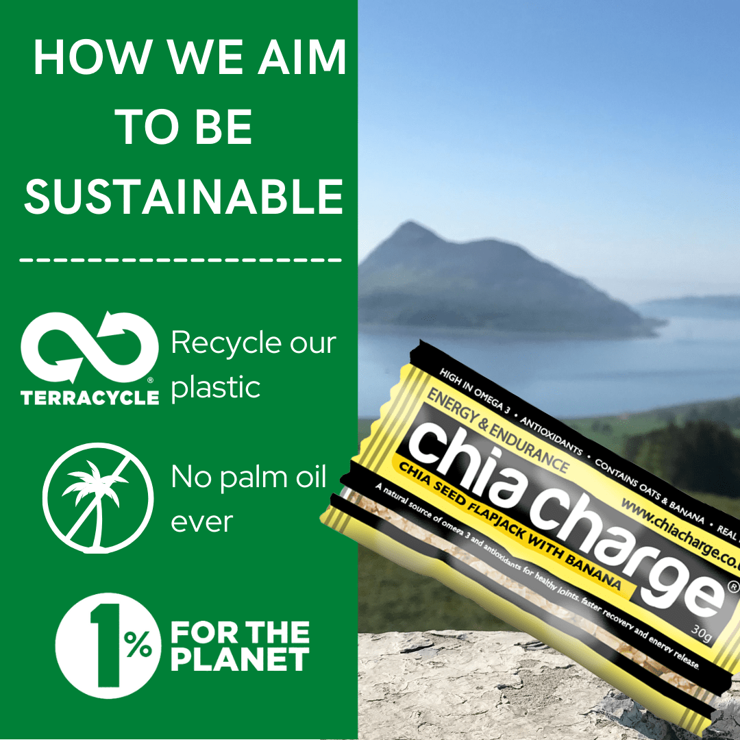 Chia Charge Bars Mini Flapjack 30g (box of 18)